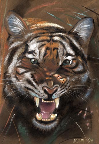 Tiger pastel