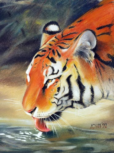 Tiger pastel2