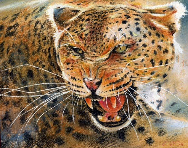 leopard pastel