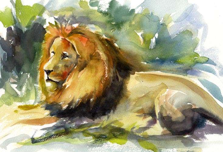 lion watercolour