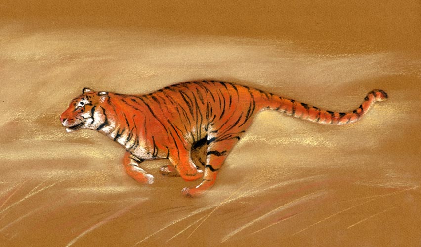 tiger running pastel