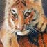 Tiger cub pastel