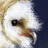 barn owl pastel