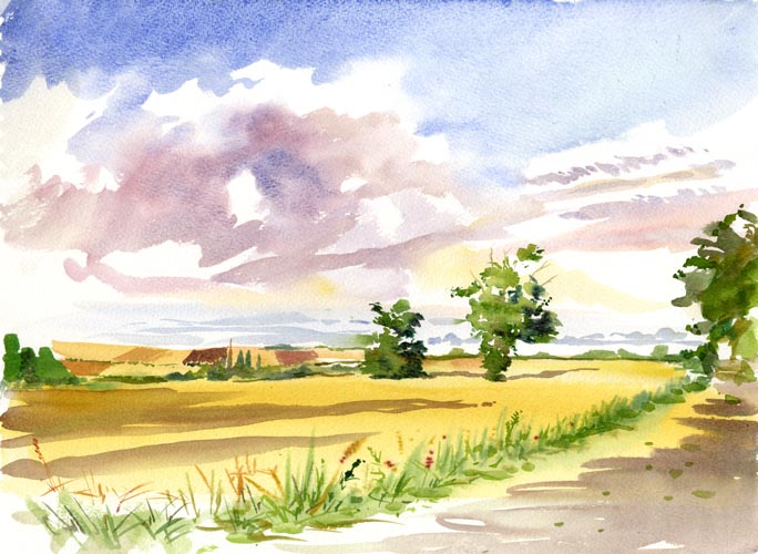 graffham field watercolour